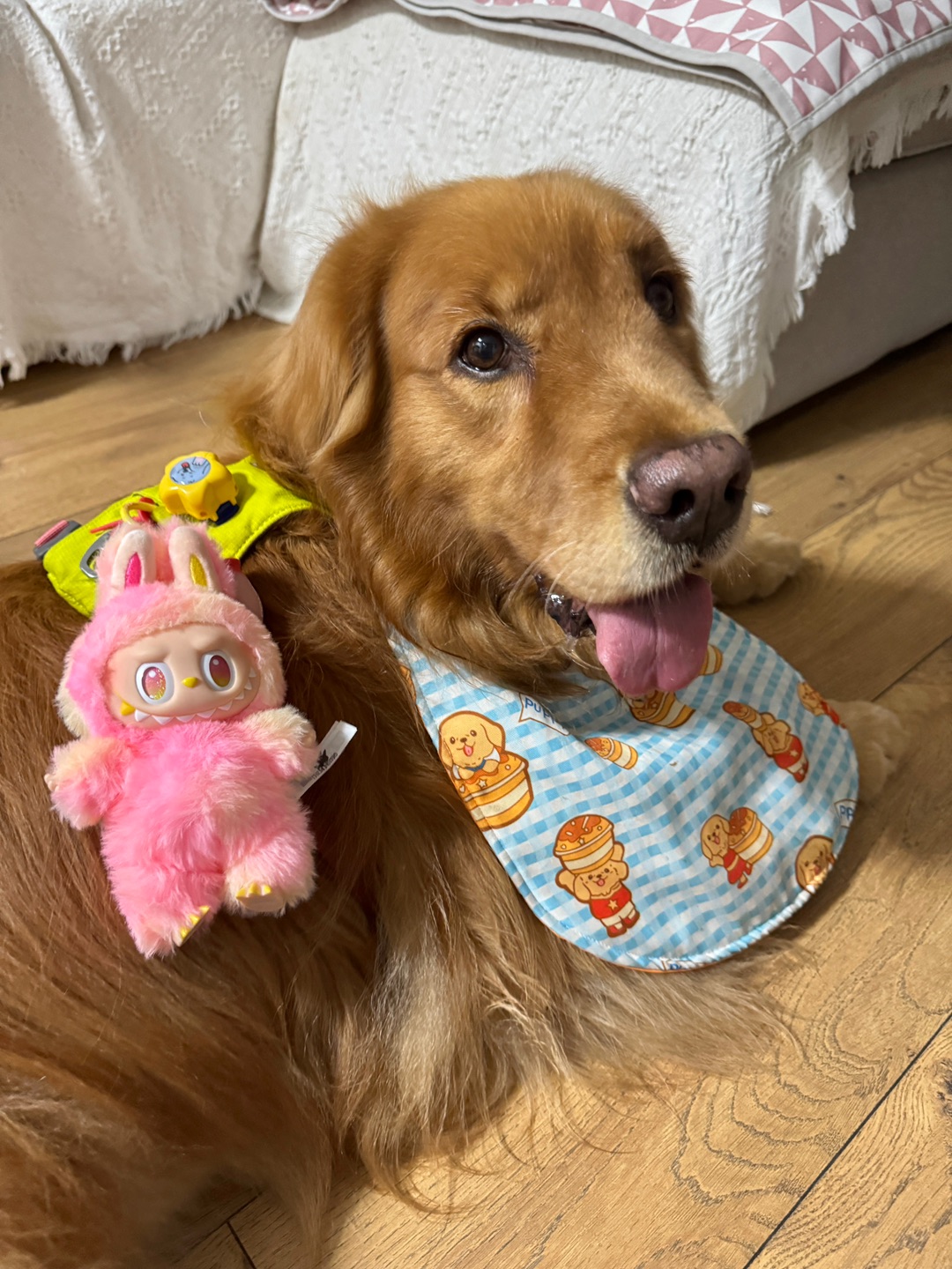 小狗🐶也有labubu