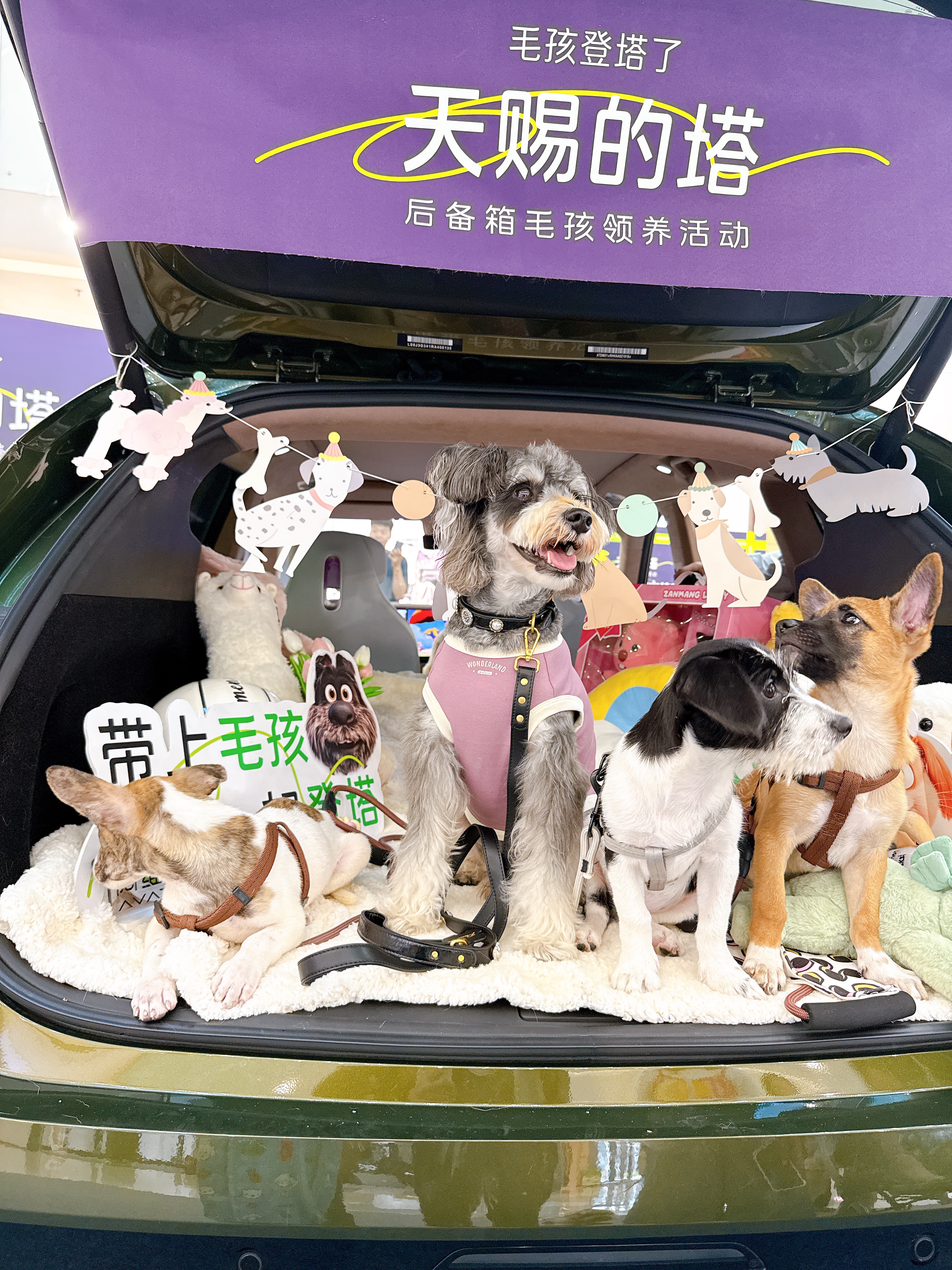 西五街