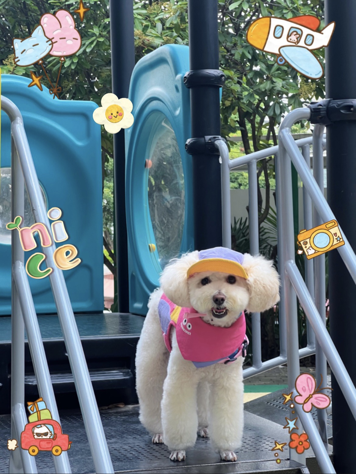 小狗开学报道🎒开学第一天就萌翻全校啦