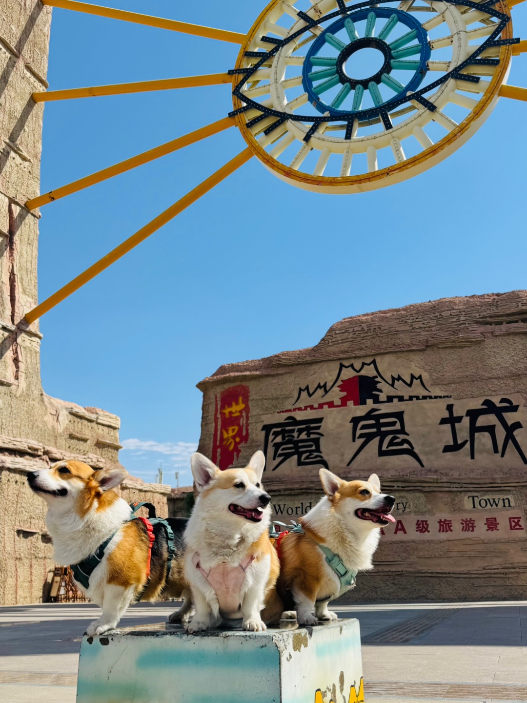 西五街