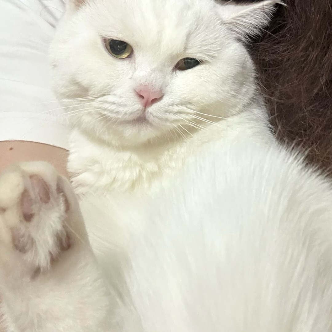 💓📸