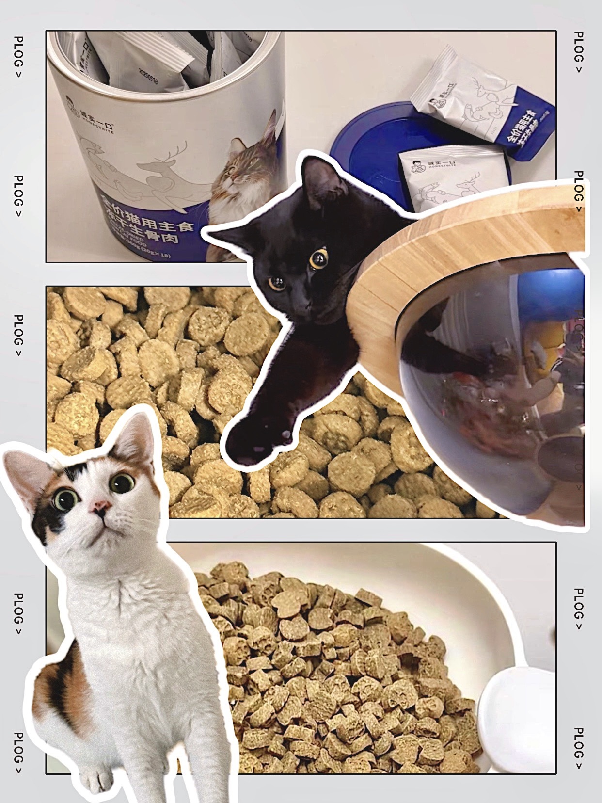 🛒 𝑉𝑙𝑜𝑔｜9月主食PDD购物清单