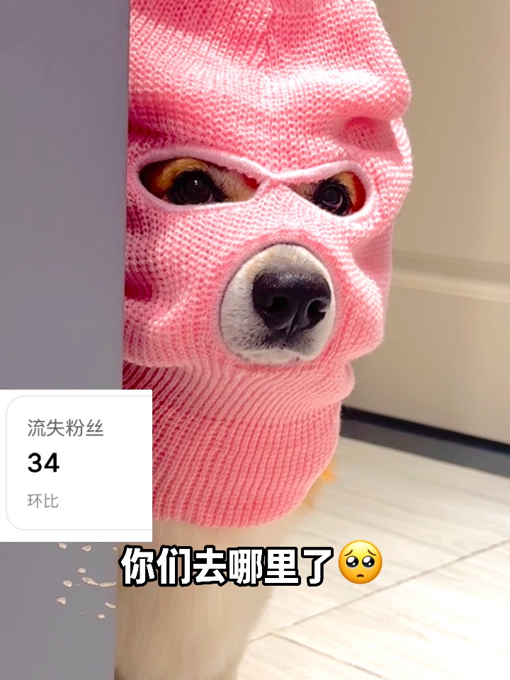 小抖失去了34个粉丝🥺