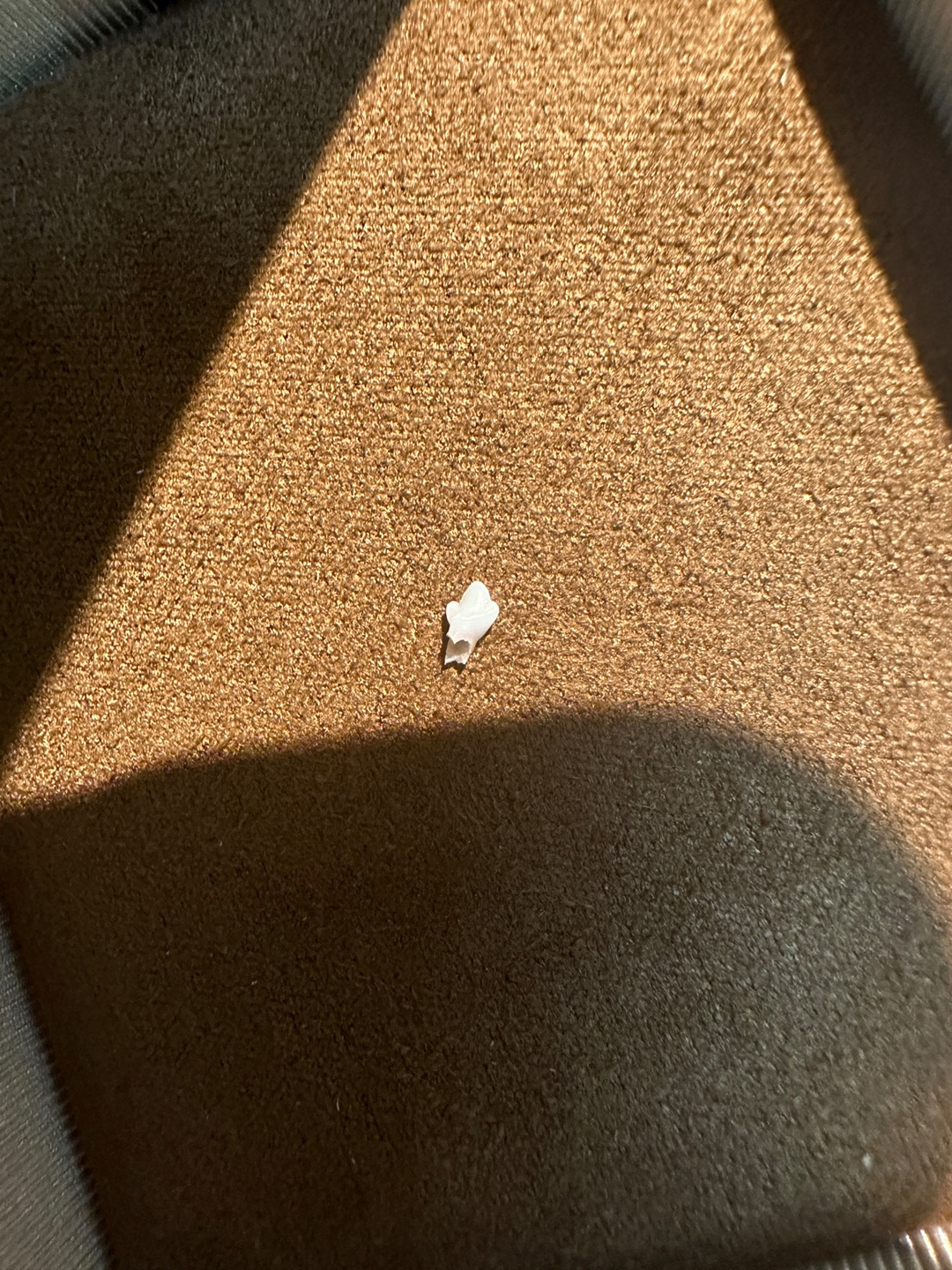 这是谁的小手套呀