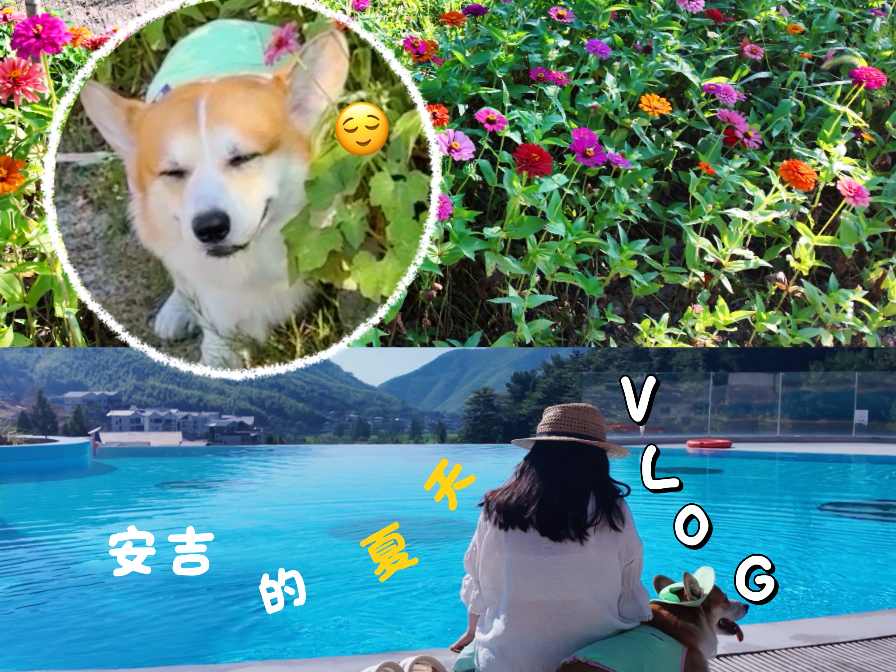 夏天就要结束啦🔚带小狗去村里施个肥💦