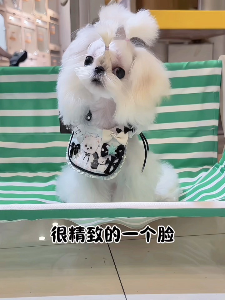 💖姨姨们快看！这是谁的精致小脸呀？