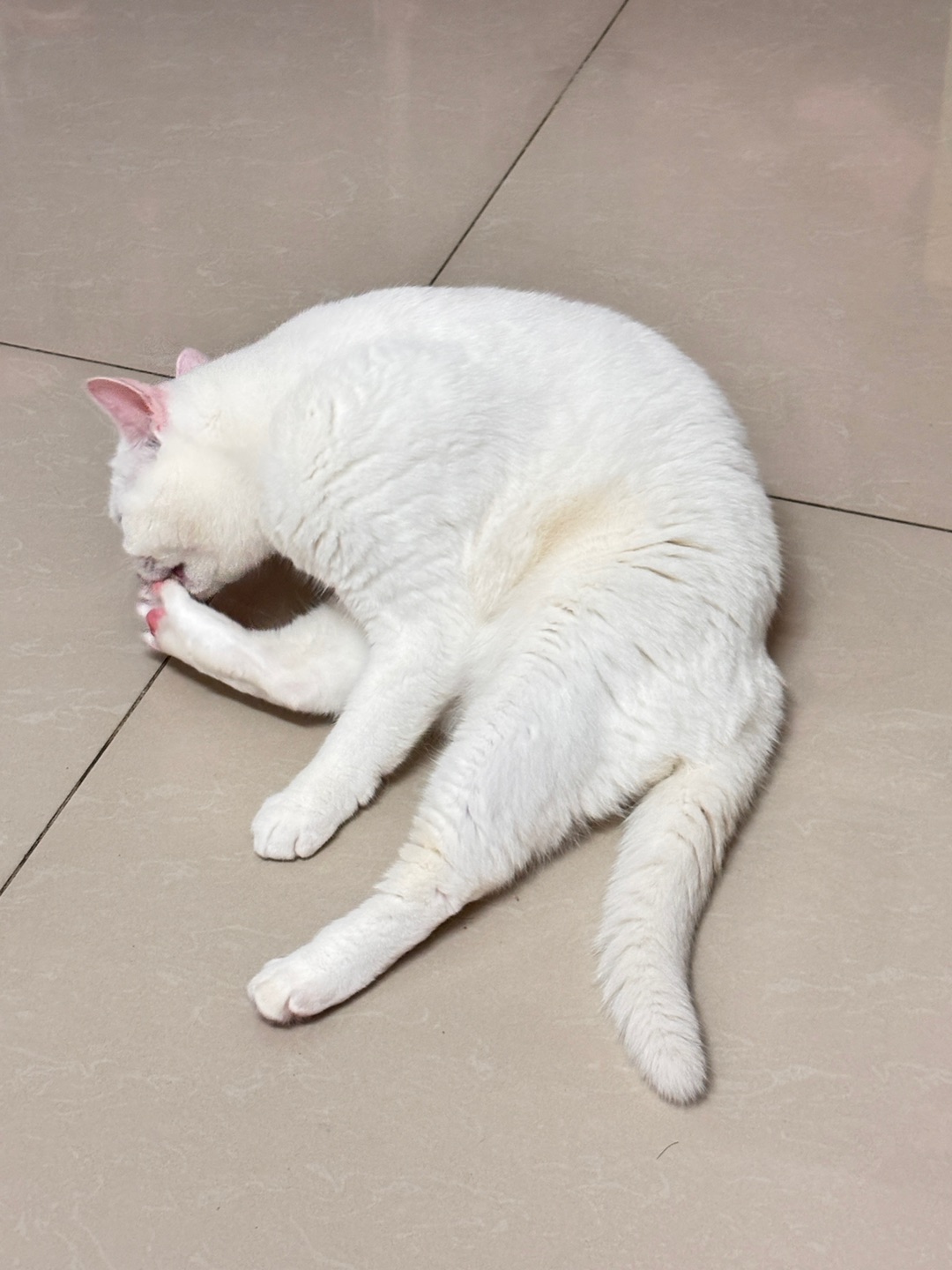 西五街
