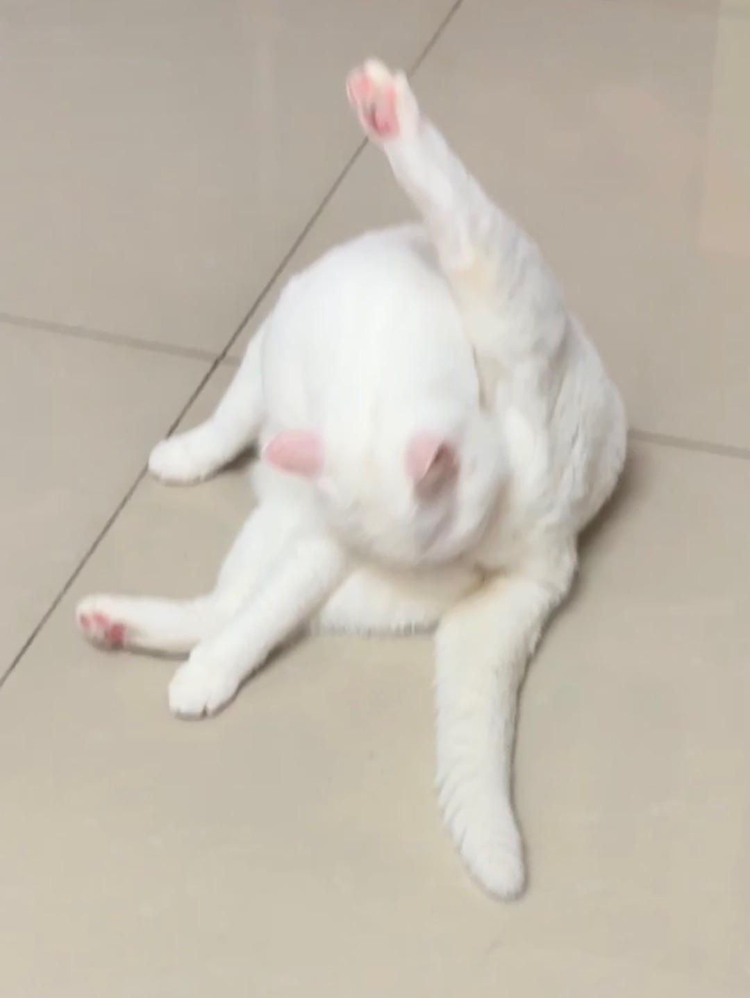 西五街