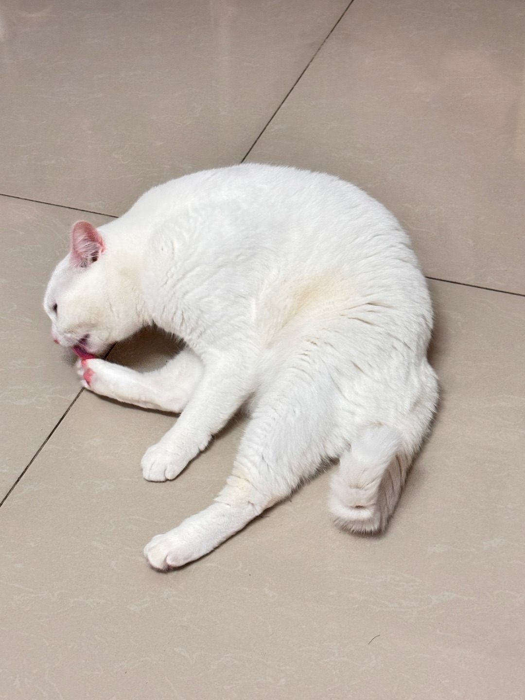 西五街