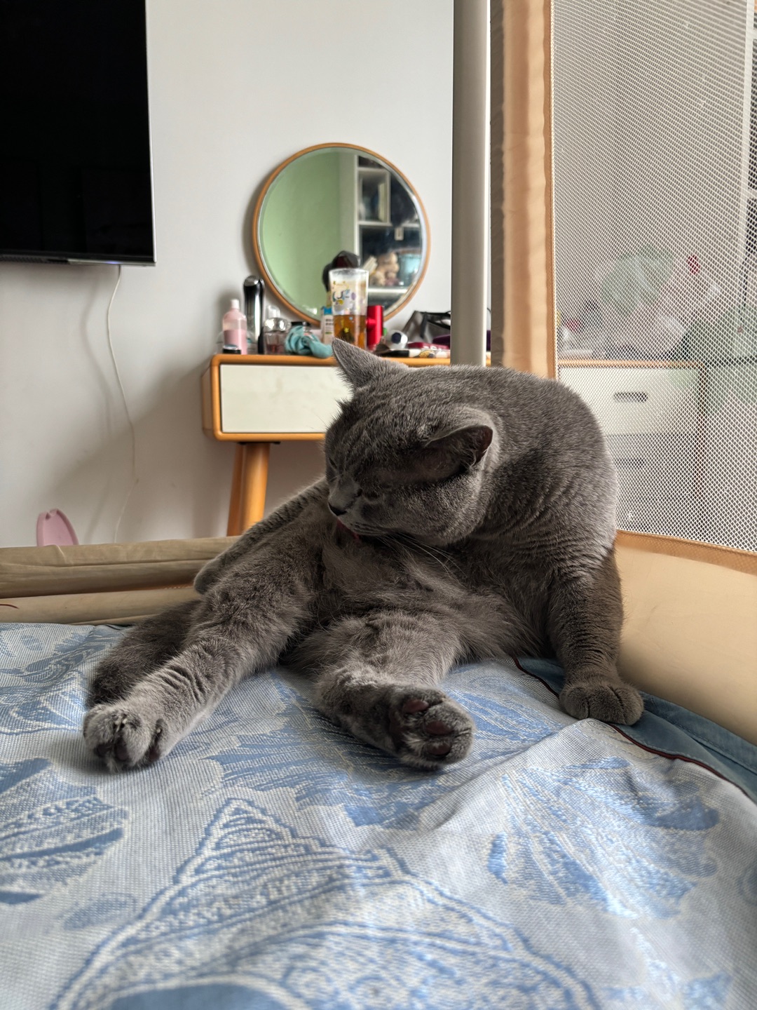 睡前准备工作