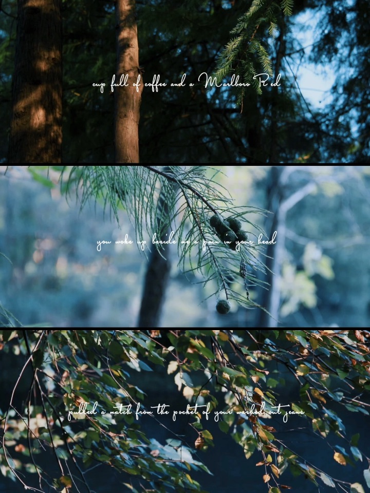 把夏天的遗憾 卷进温柔的秋风里～