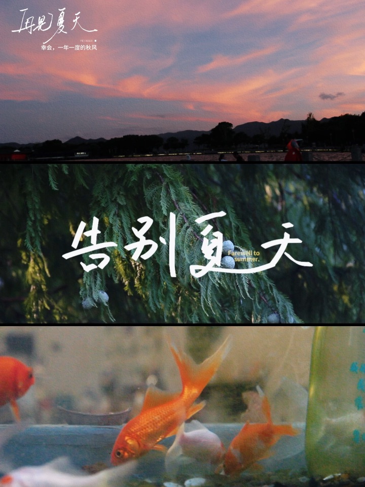 告别·夏天｜东钱湖的晚霞，像在和夏天说再见