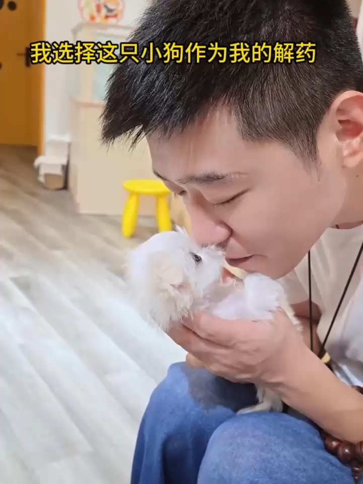 我选择这只小狗，作为治愈生活的解药💖