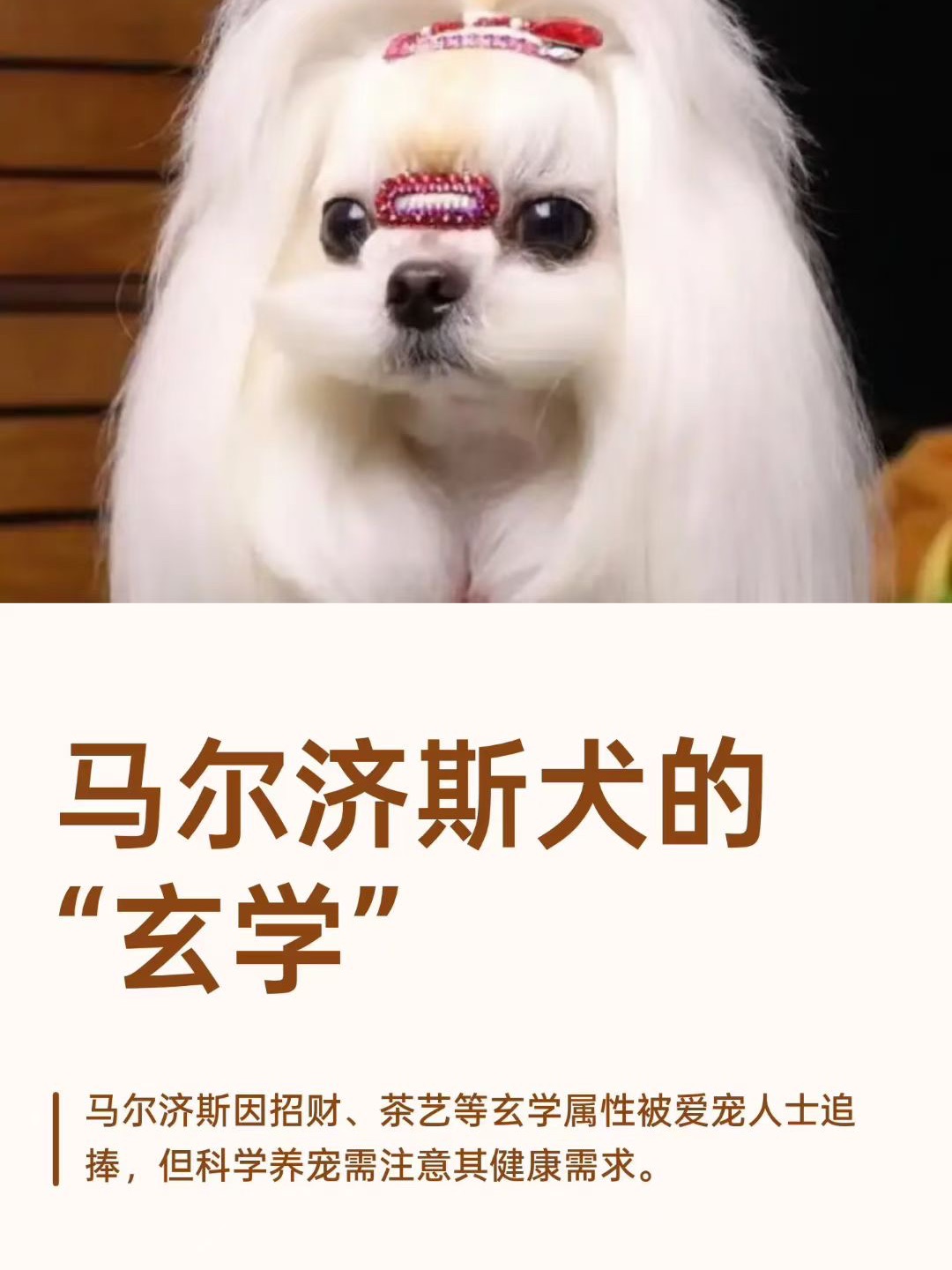 西五街