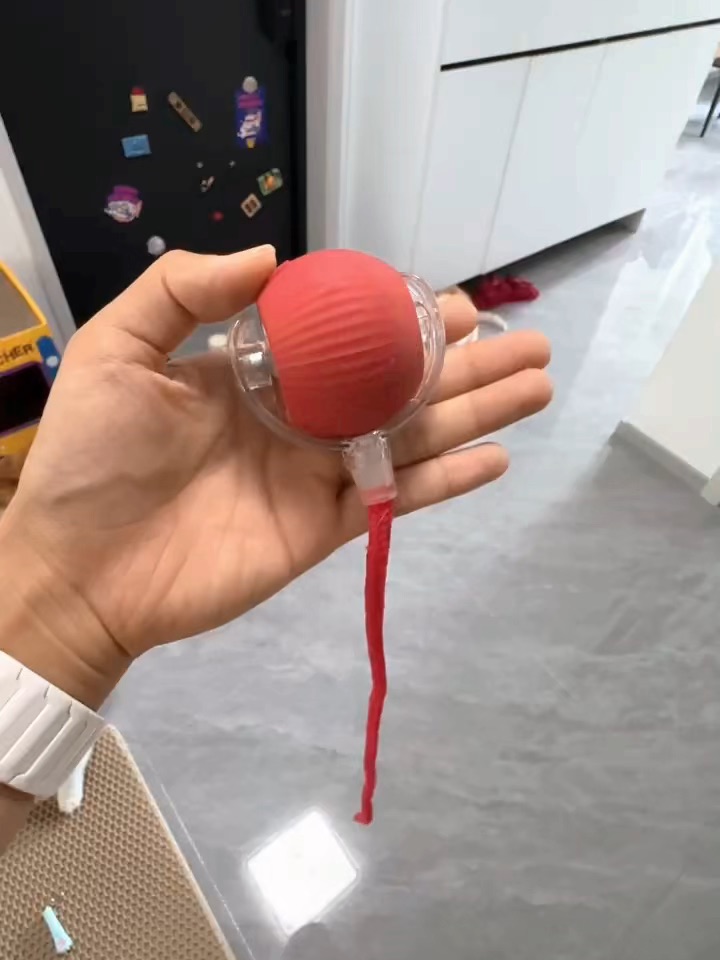 买了个电动小球  家里小猫玩疯啦