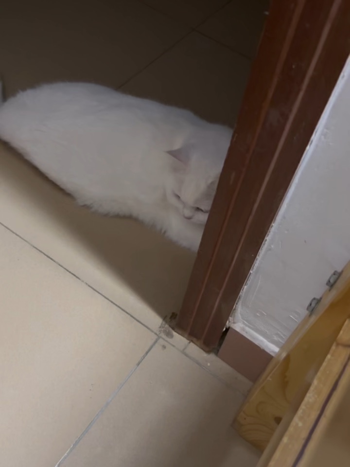 探索时刻