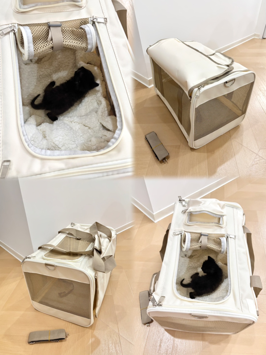 都给我去买这款实用的猫包👜