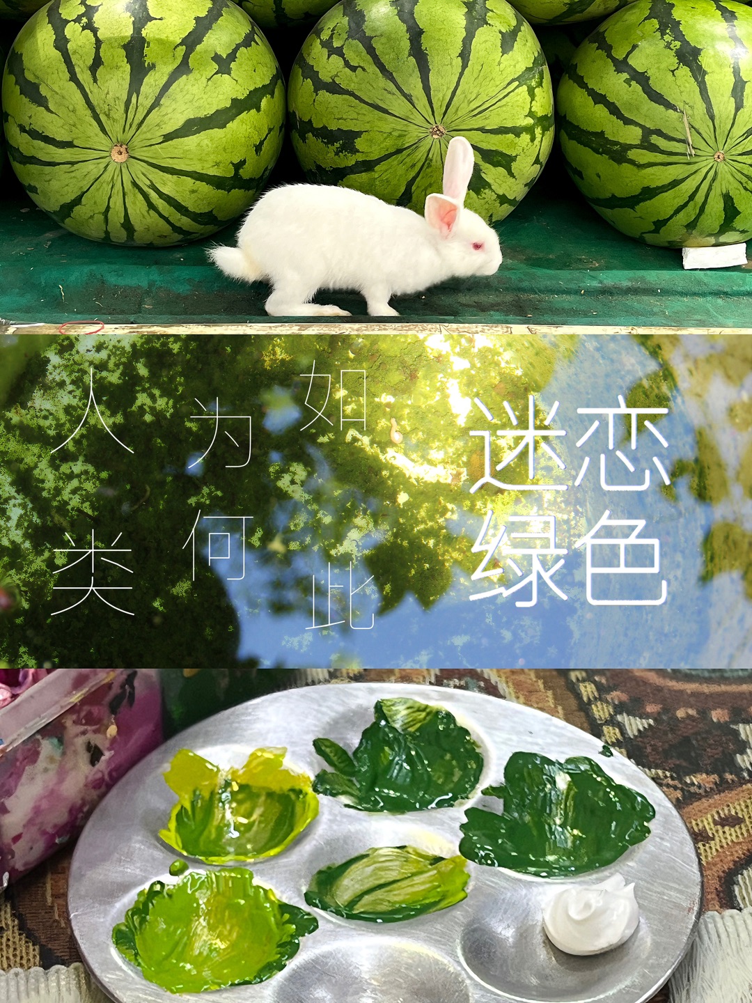 人类为何如此迷恋绿色