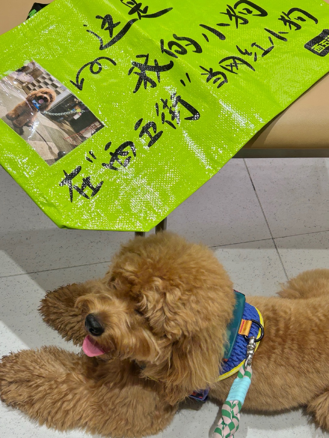 西五街