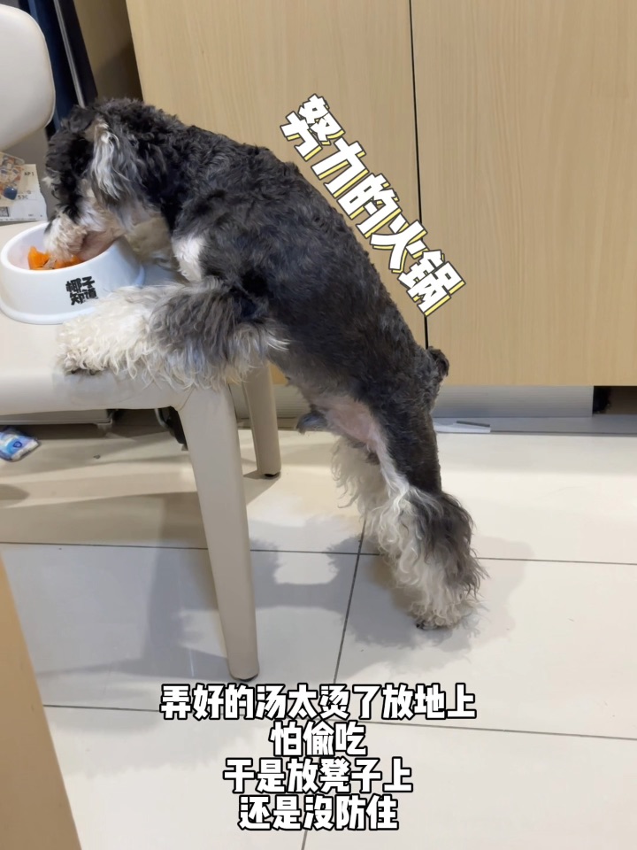 一个偷感很重的视频