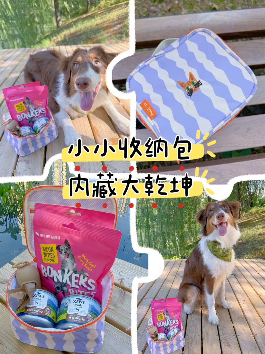 狗狗出游收纳神器！淡紫小袋太能装了