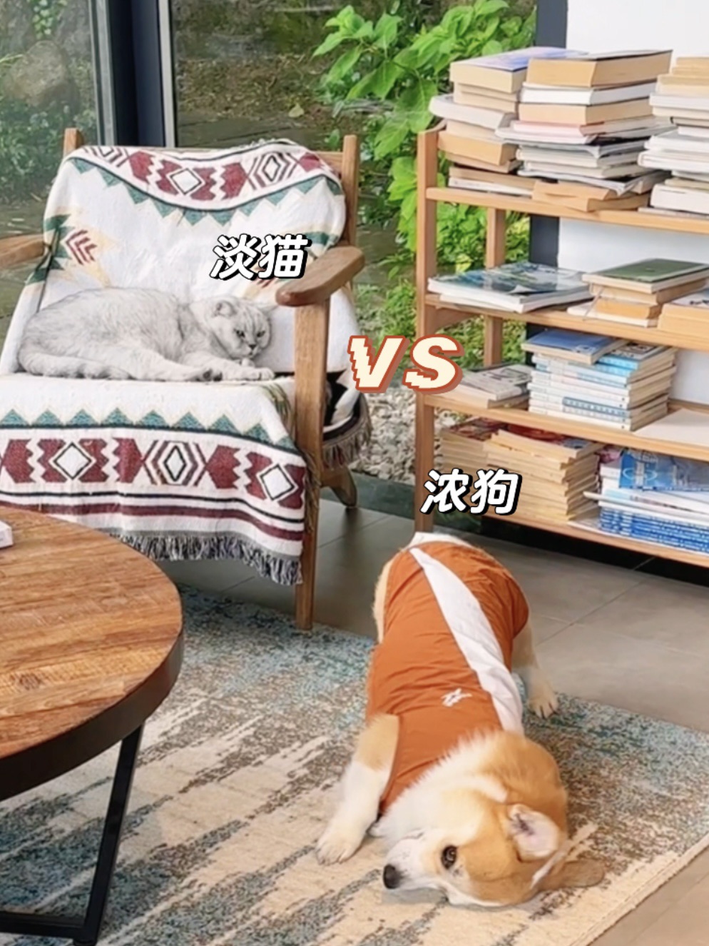 浓狗淡猫的具象化…