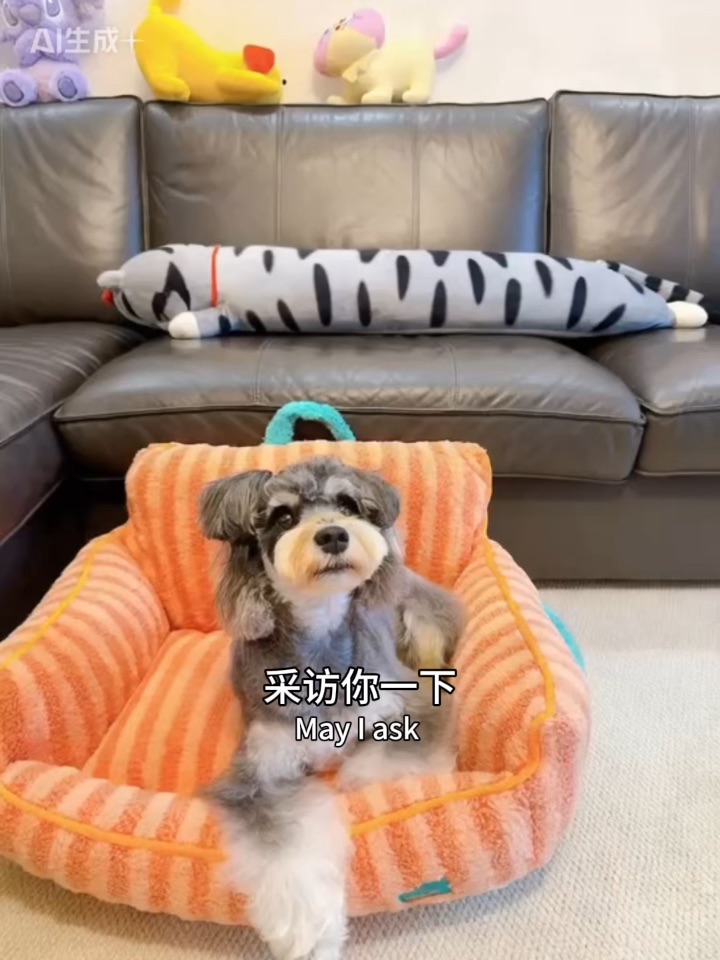 我就知道小狗是爱我的😌