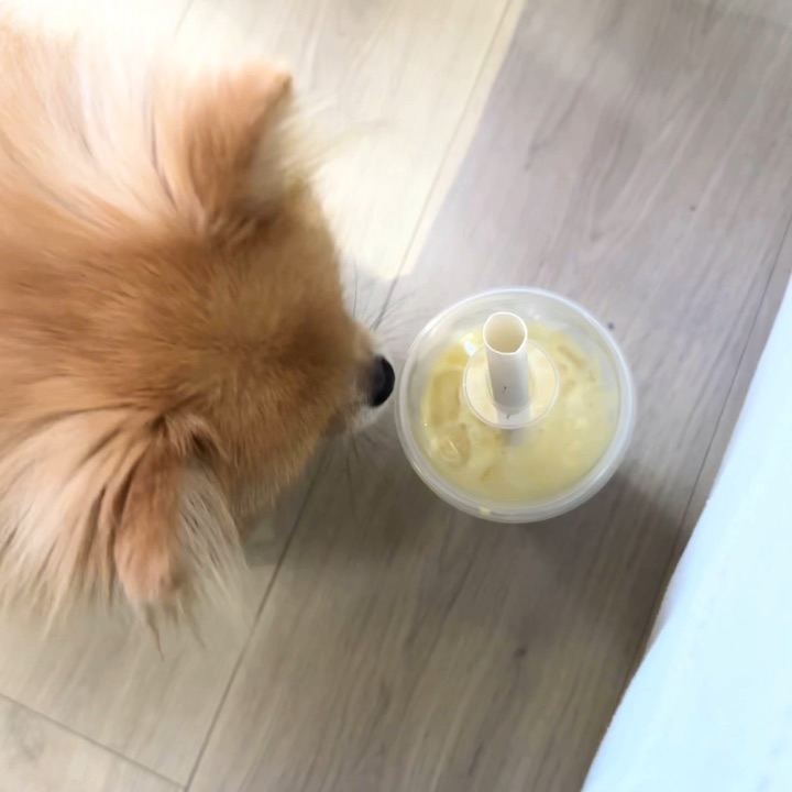 看我看住饮料一分钟🥤