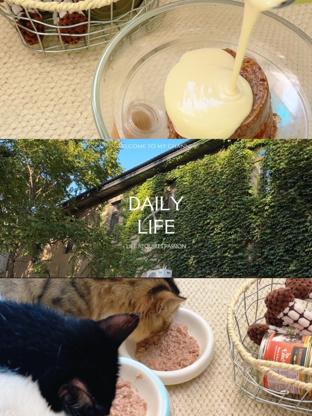 (*´▽｀)ノノ(^-^)/~(＾◇^)/( ´ ▽ ` )ノ
