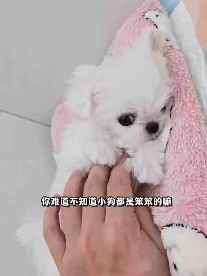 别和我们修勾耍心眼啦🤪