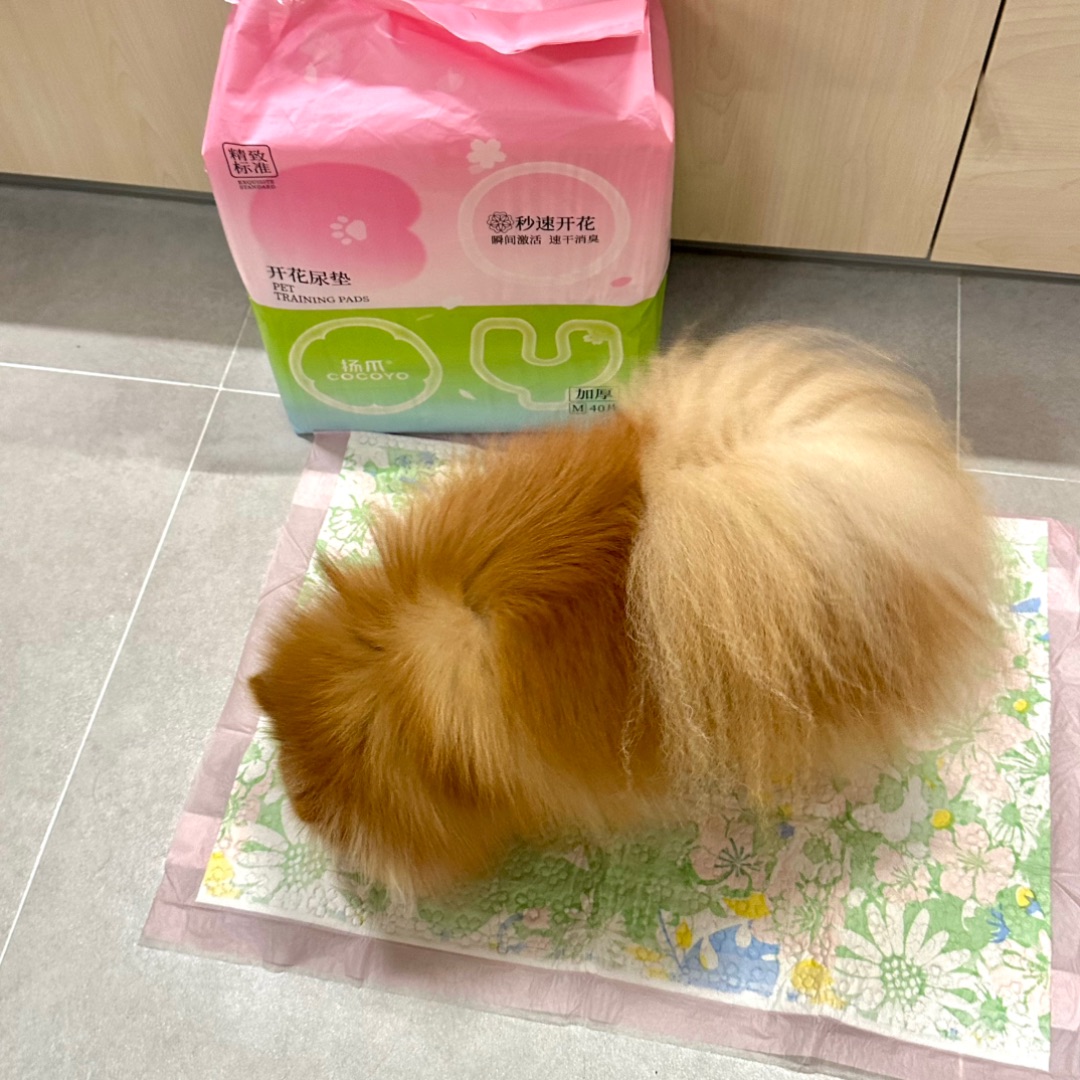 西五街