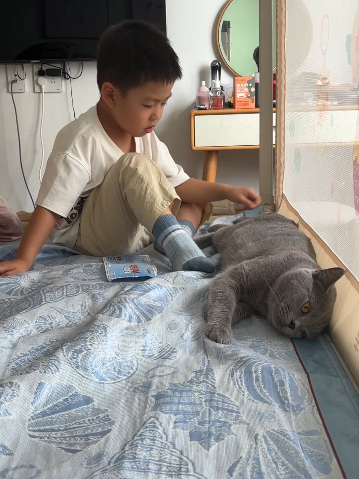 瞎操心的小主人