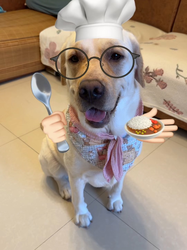 本汪天生就是干饭的材料哈哈哈哈