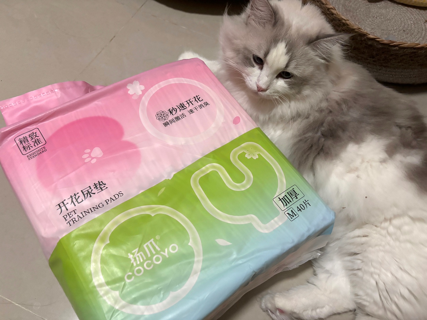 谁还没有会开花的尿垫呀