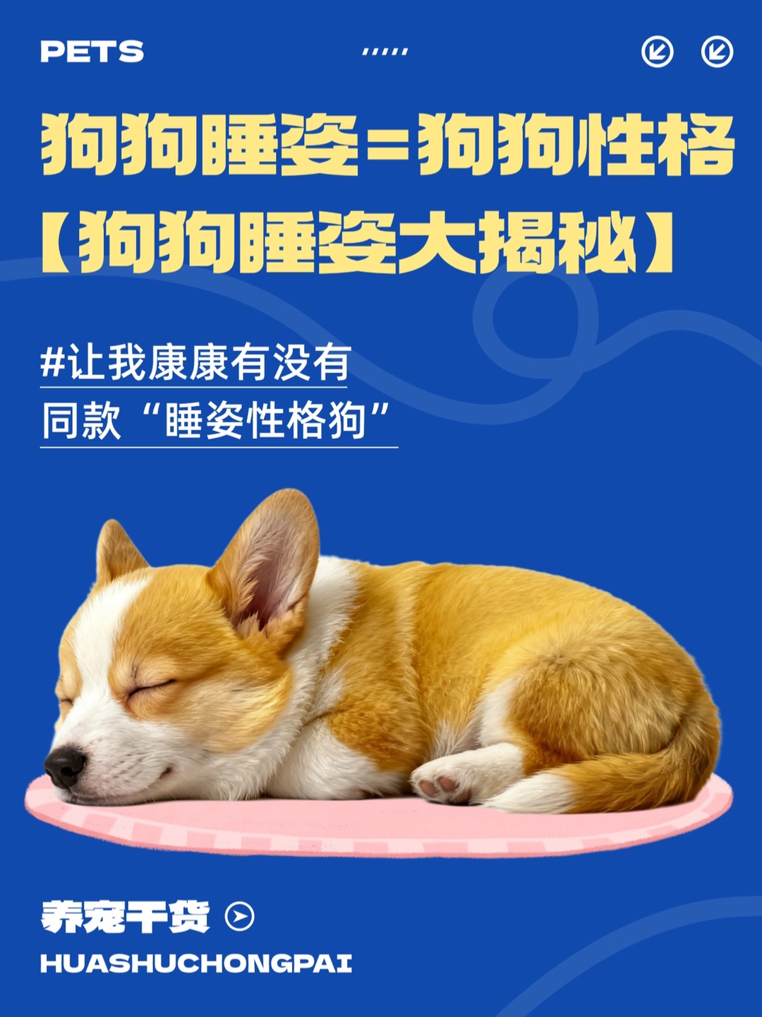 狗狗睡姿=狗狗性格