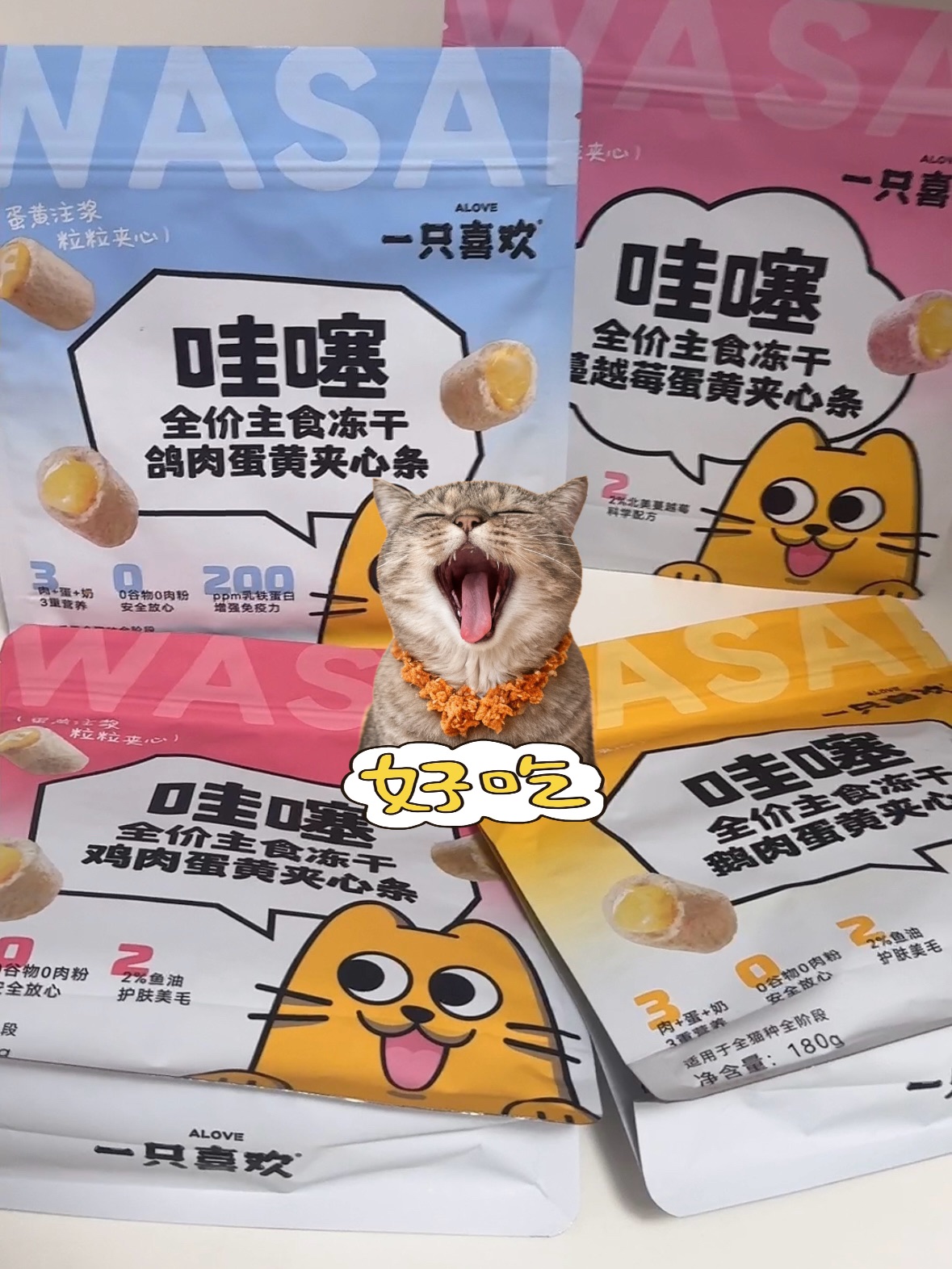 哇噻！｜居然有这么好吃的冻干！