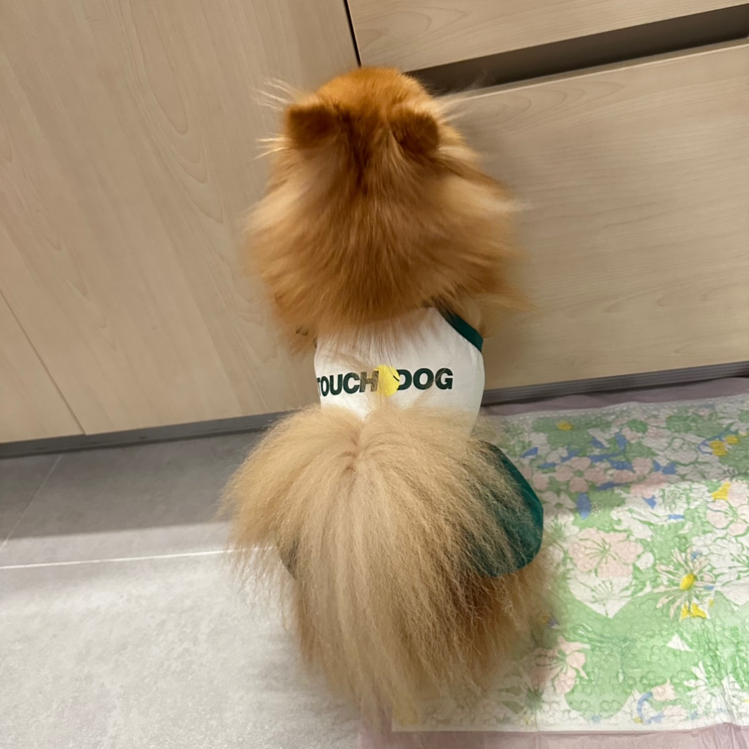 西五街