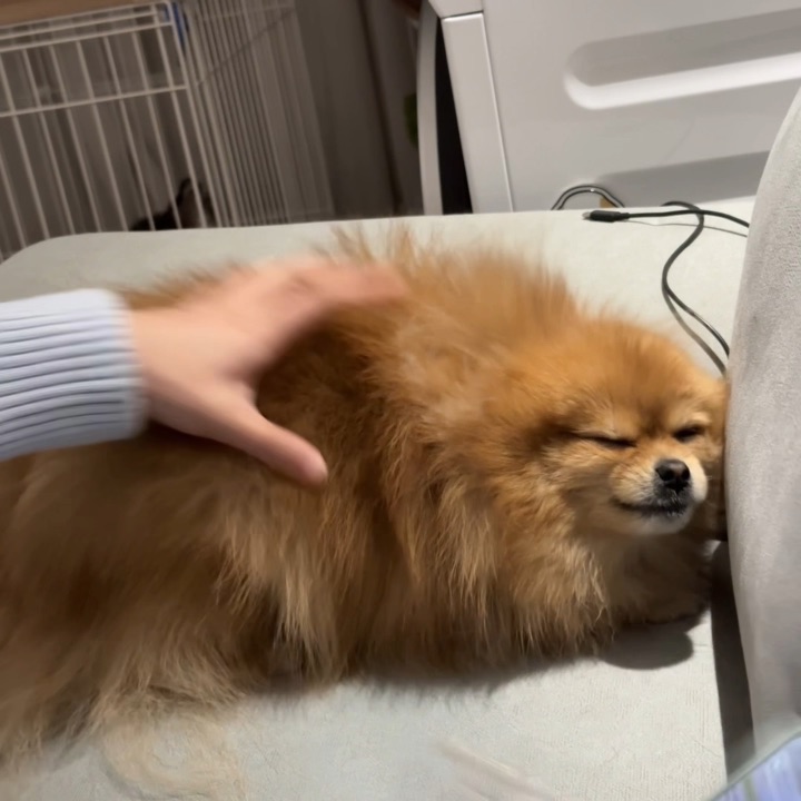 猜中了开头没有猜到结尾