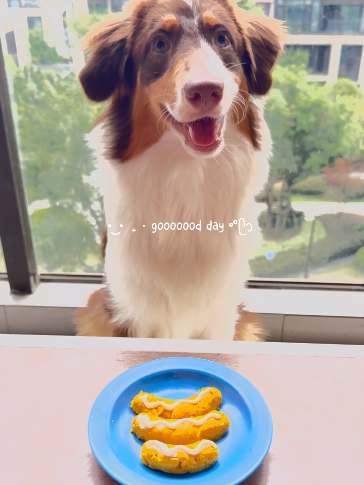 给小狗做可爱的鸡肉肠～