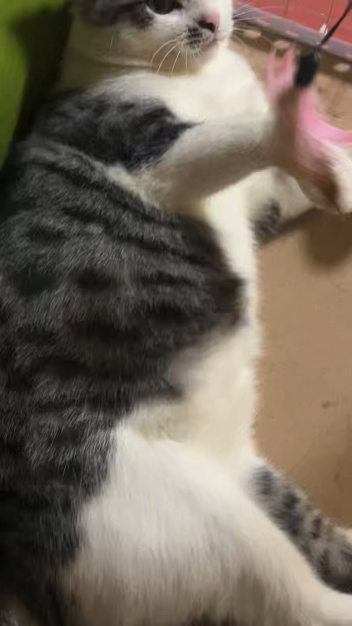 白