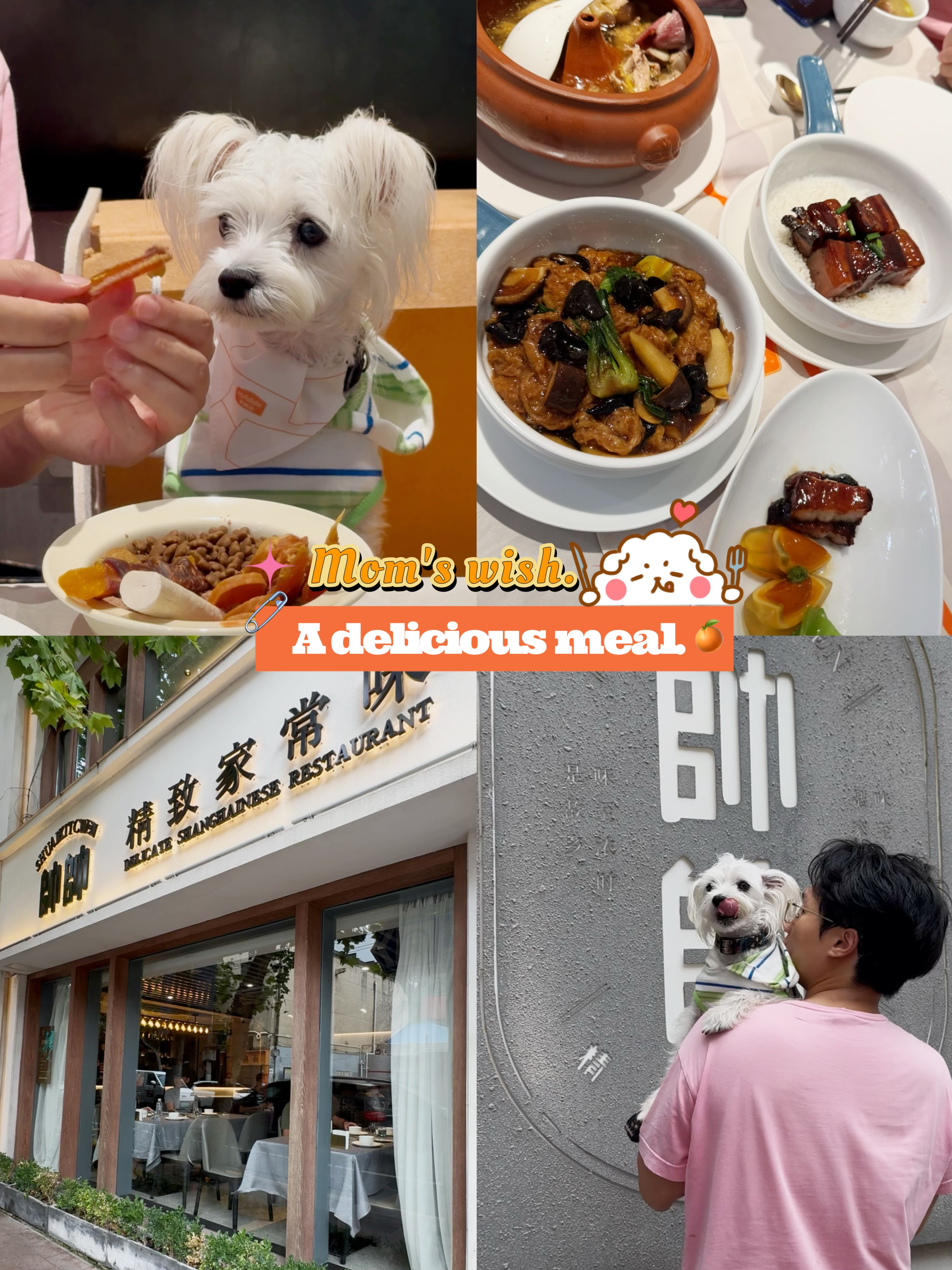 🐶✨妈妈心愿达成！人宠共餐吃上帅大厨餐厅