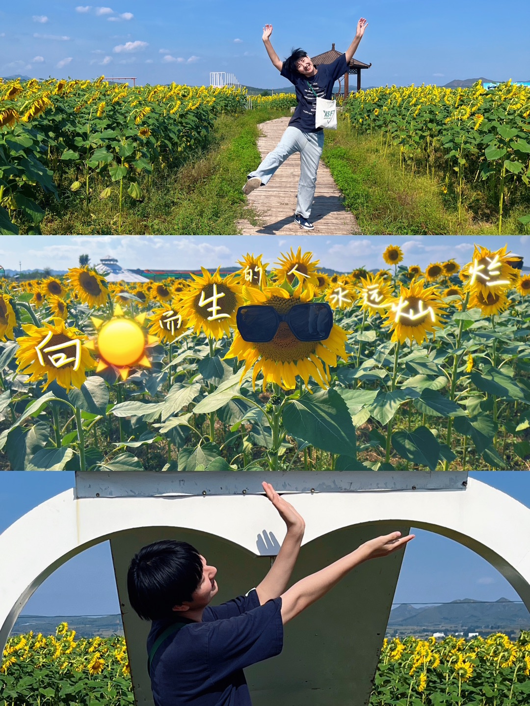 向阳而生的人永远灿烂