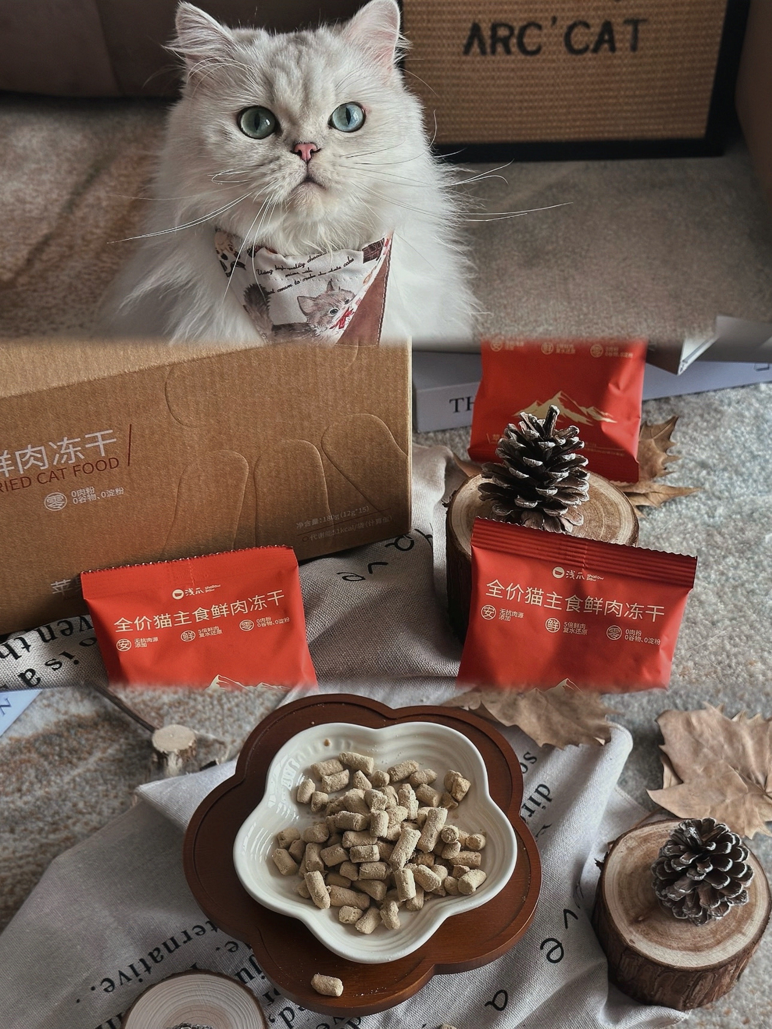 🐈猫咪版“充电日常”！