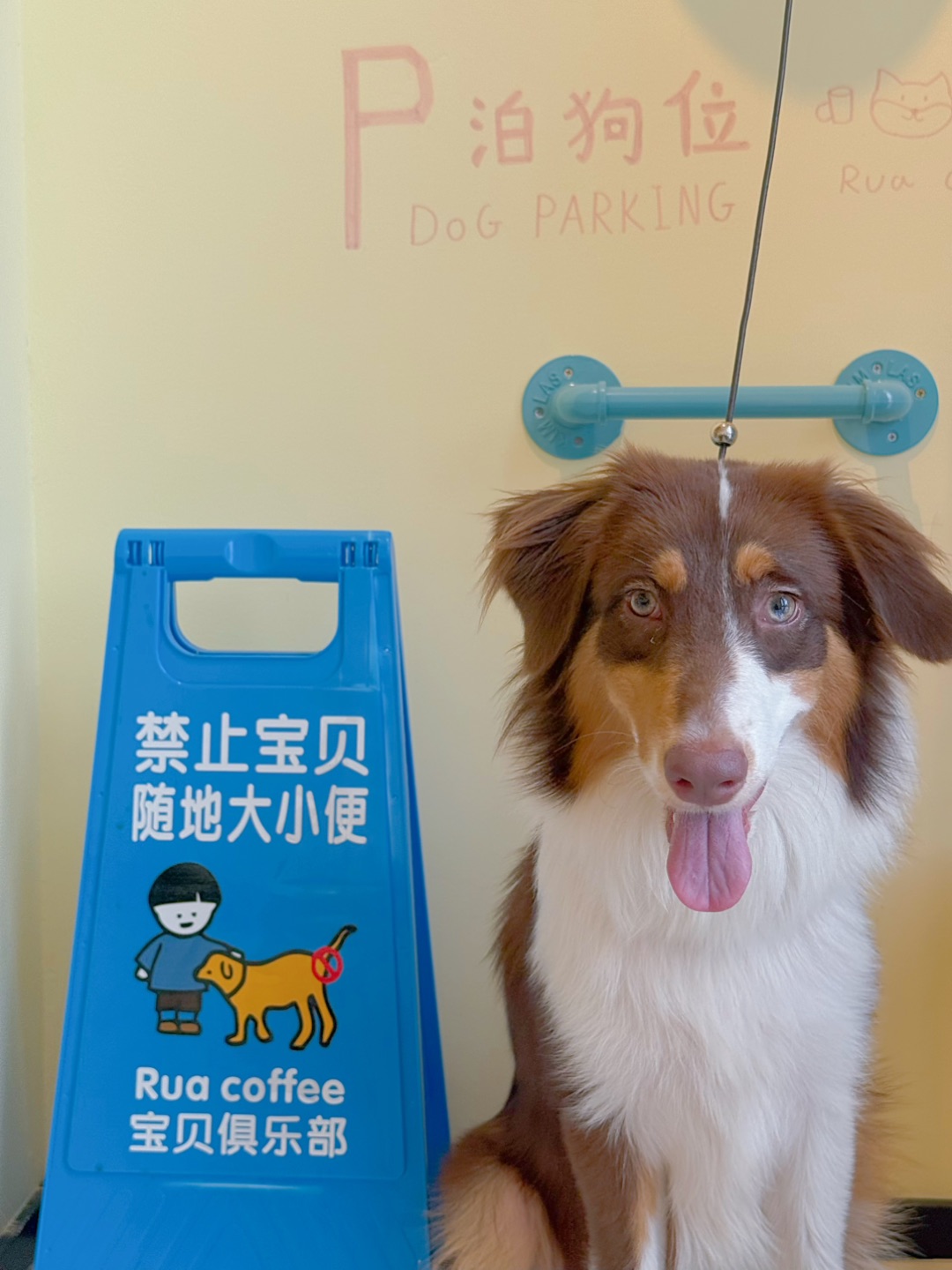 西五街
