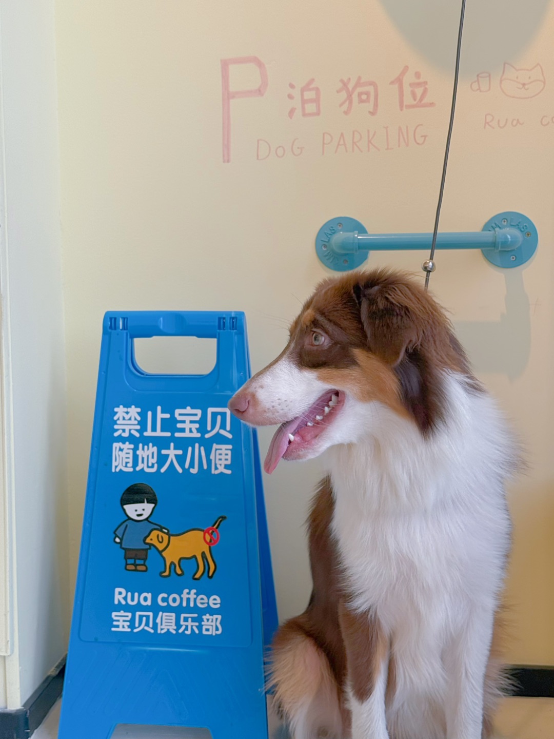 西五街