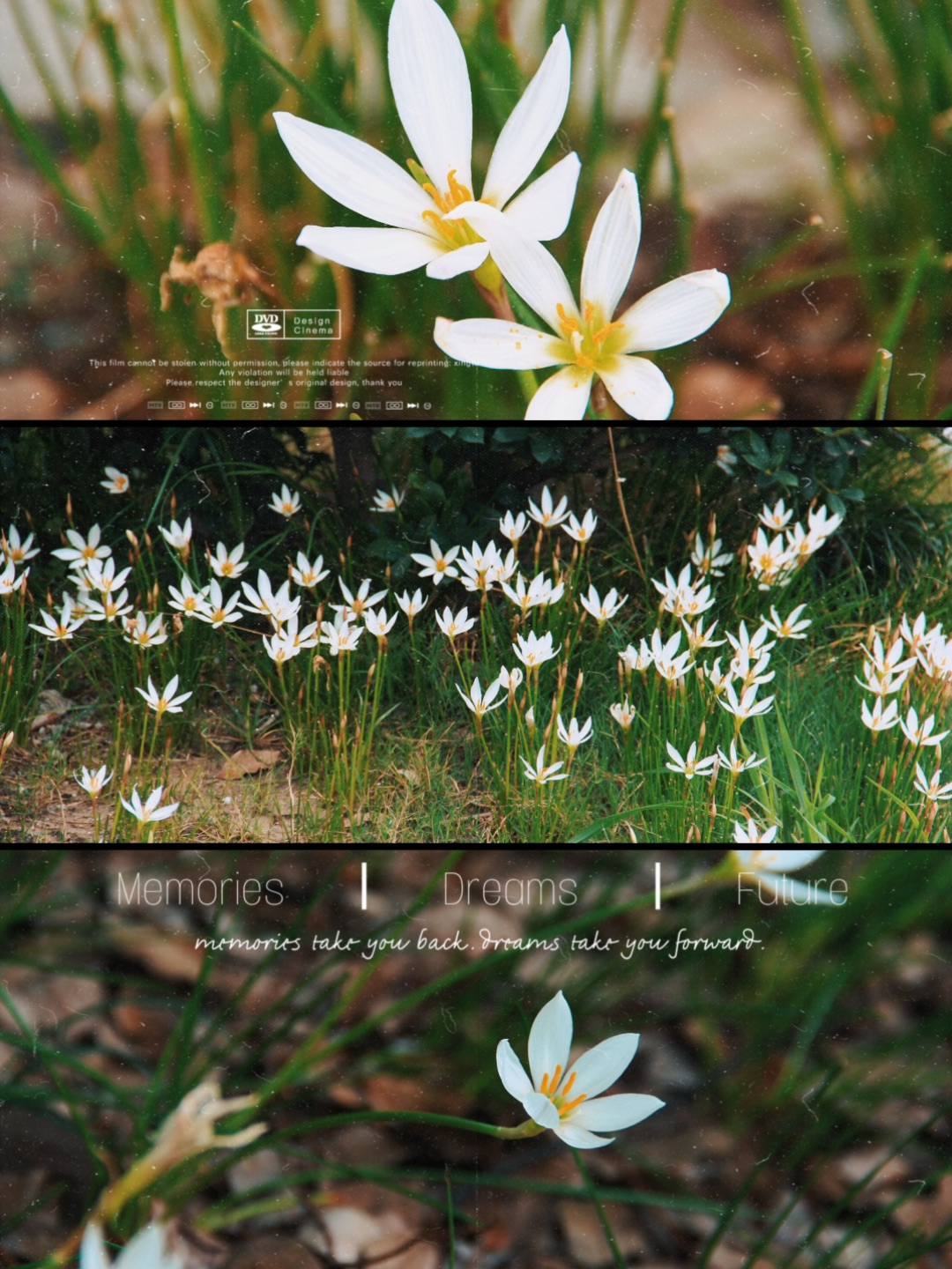 老照片·调色|听故事的人,成了讲故事的人