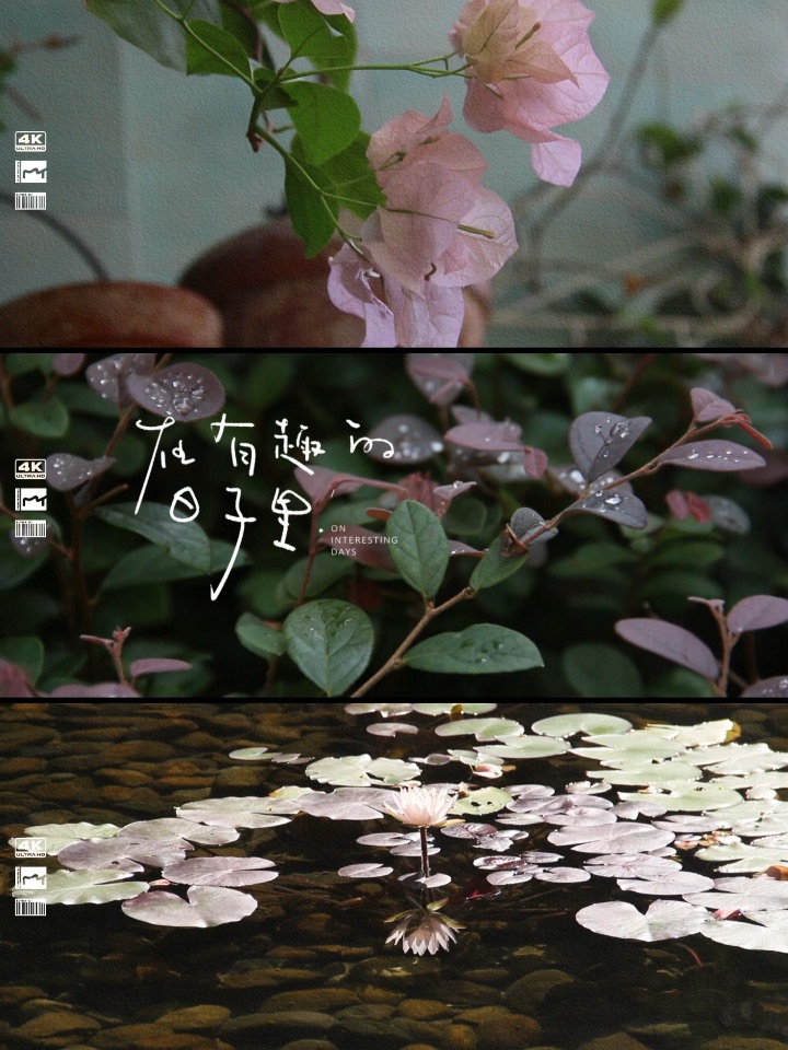 就这么蜷着发呆, 让旋律裹着自己飘一会儿~