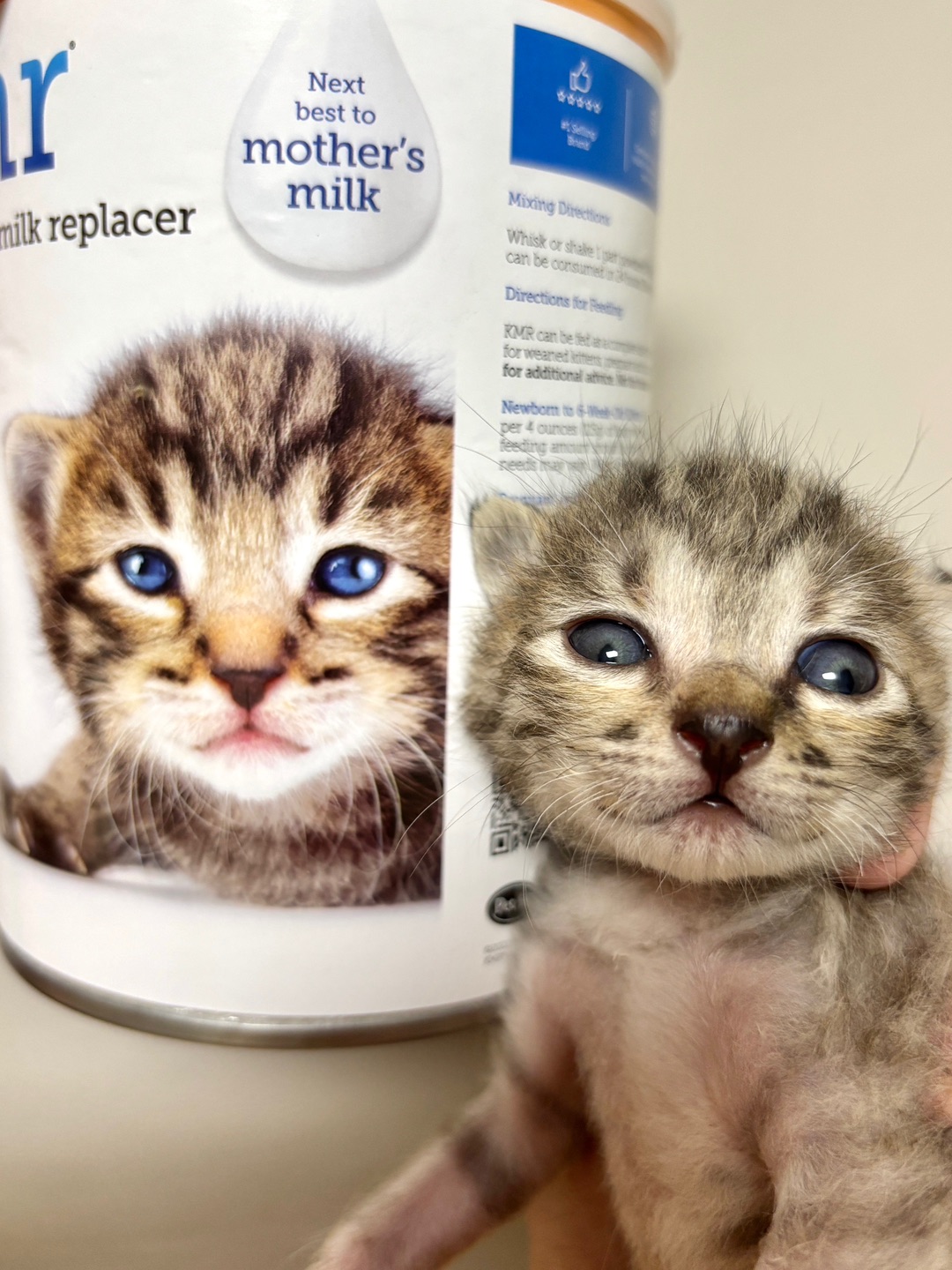 小奶猫背着我接私活了？