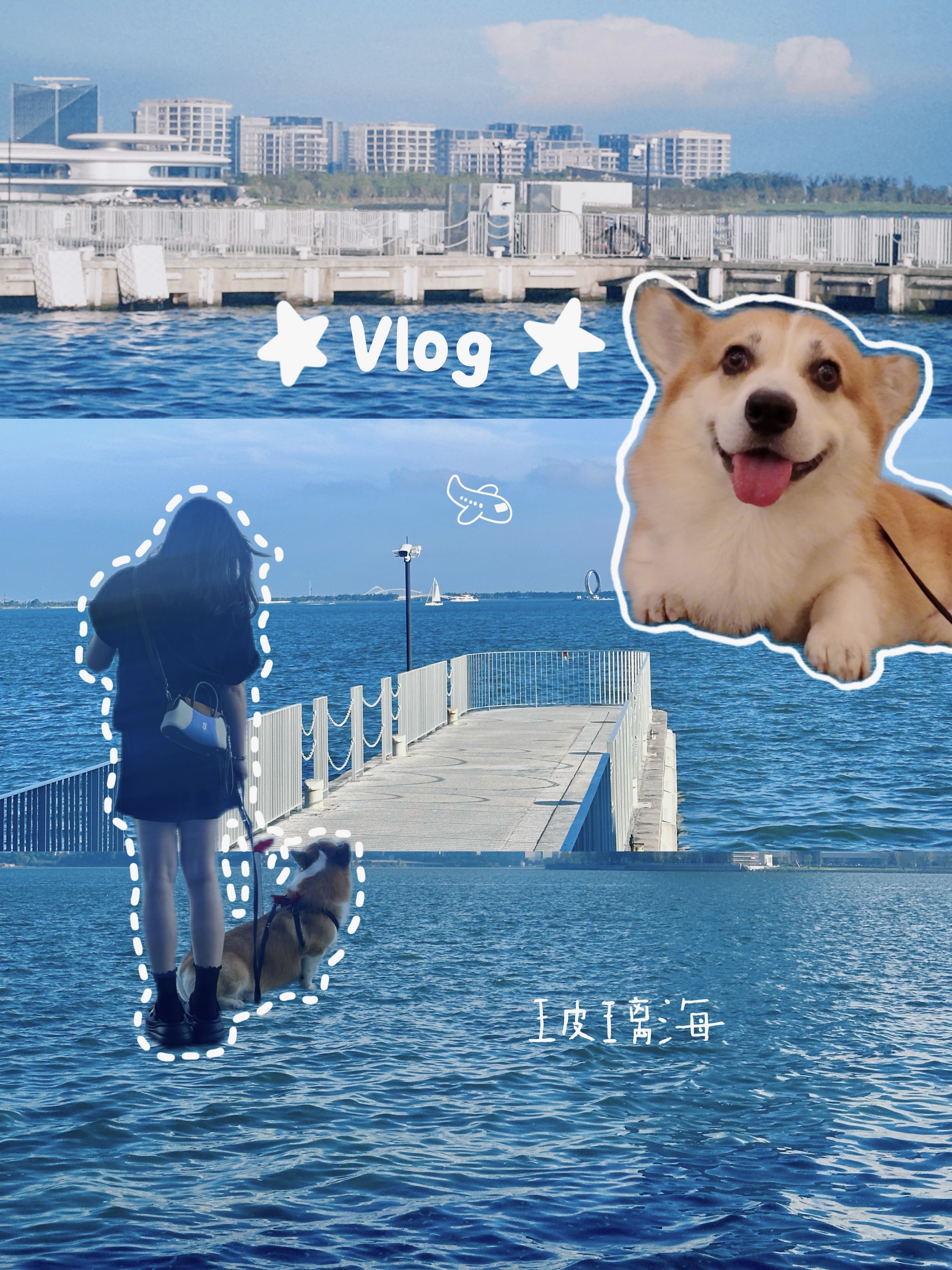 滴水湖｜带小狗来看上海的玻璃海🌊