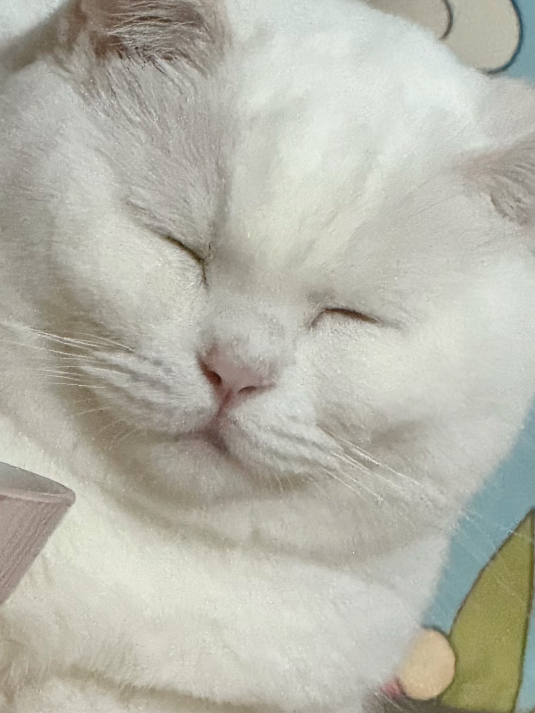 西五街